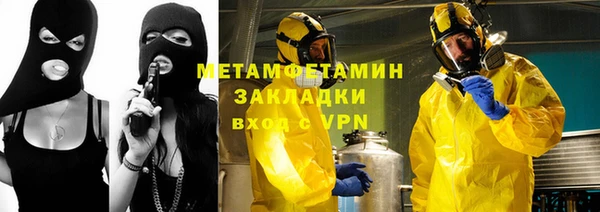 индика Вязьма