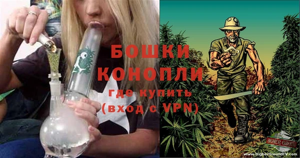 стафф Вяземский