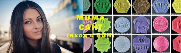 индика Вязьма