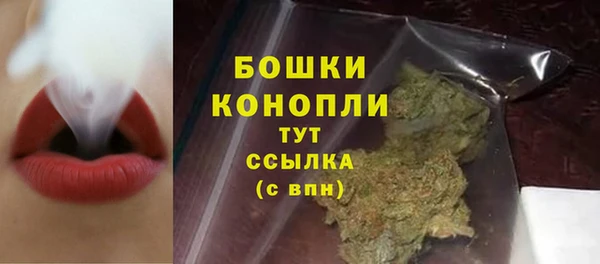 стафф Вяземский