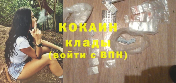 индика Вязьма