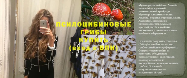 индика Вязьма