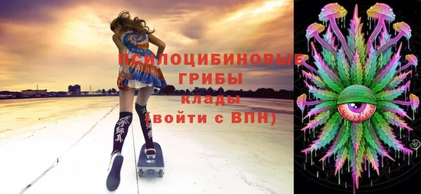 индика Вязьма