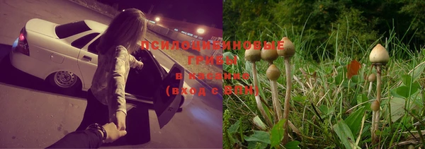 индика Вязьма